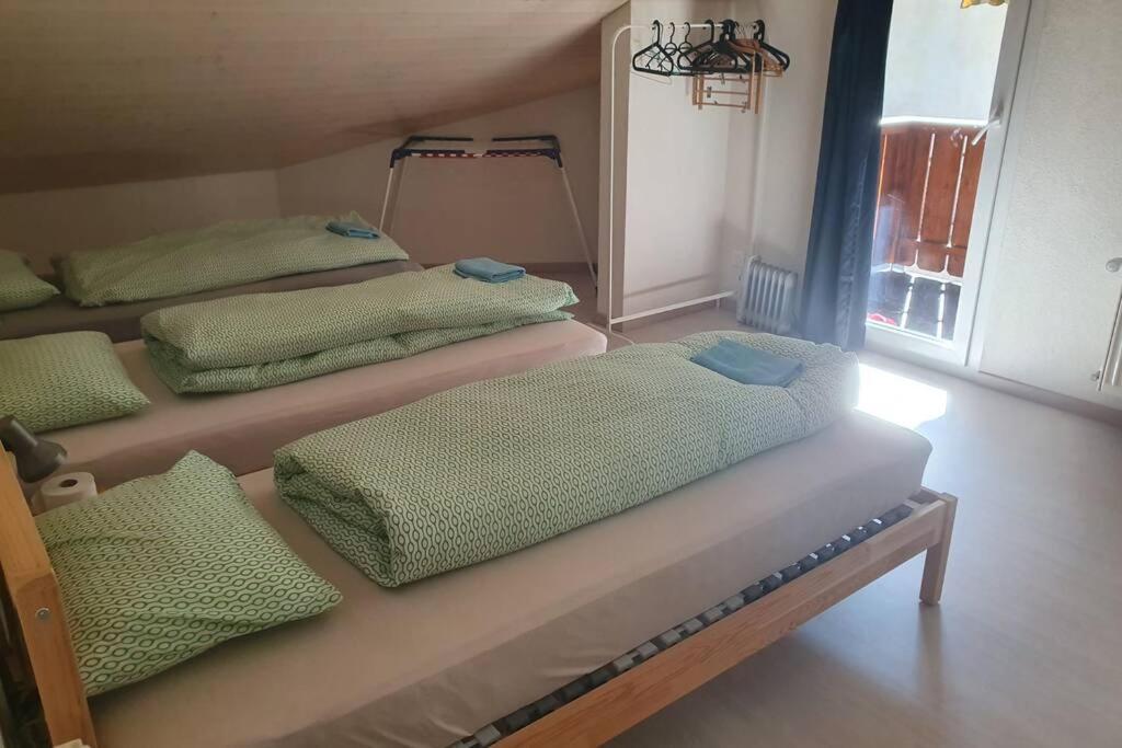 Classy Apartment إنترلاكن المظهر الخارجي الصورة