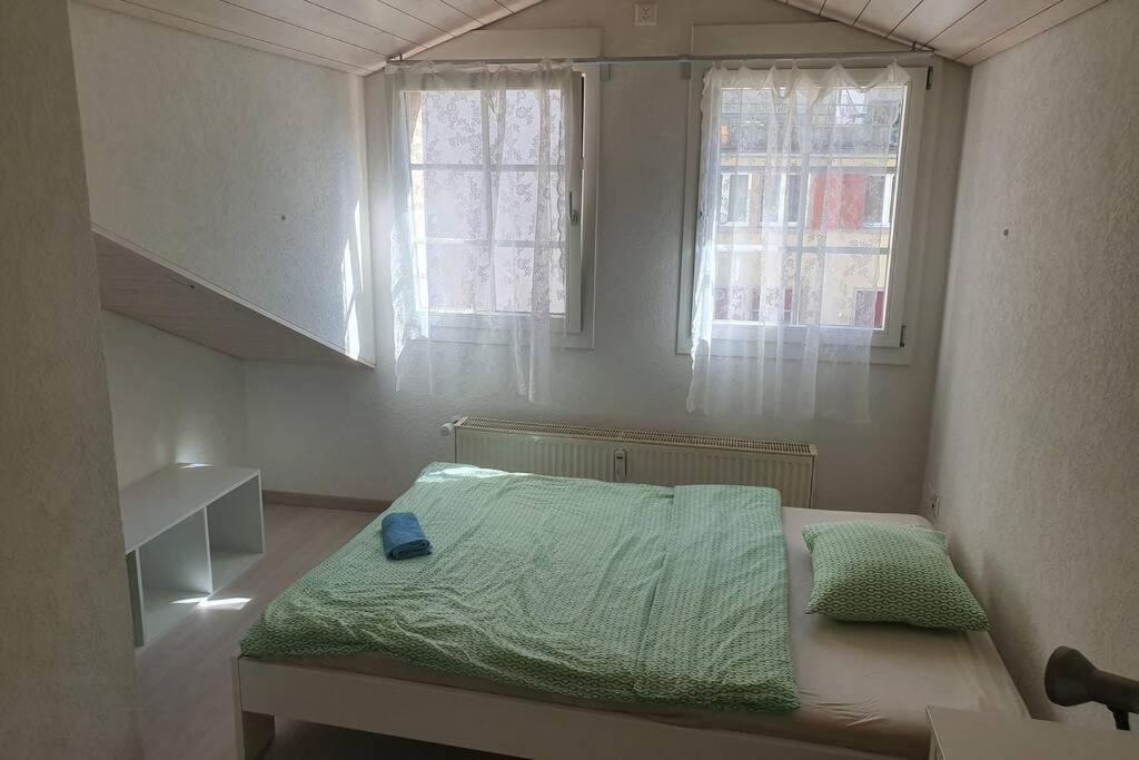 Classy Apartment إنترلاكن المظهر الخارجي الصورة
